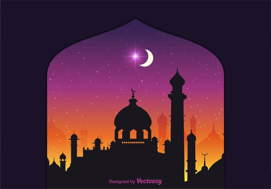 B24 - (SNR) Arabian Nights (220648)